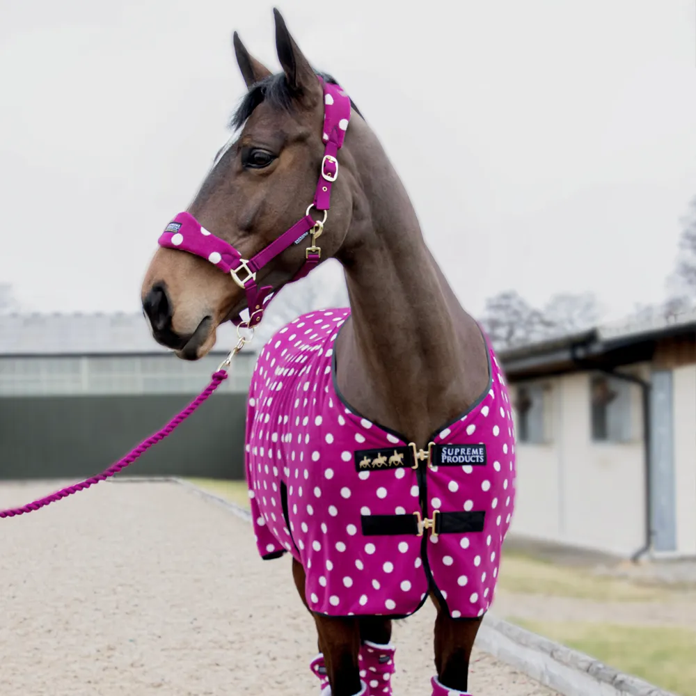 Supreme Products Dotty Fleece Head Collar & Lead Rope - Image 7