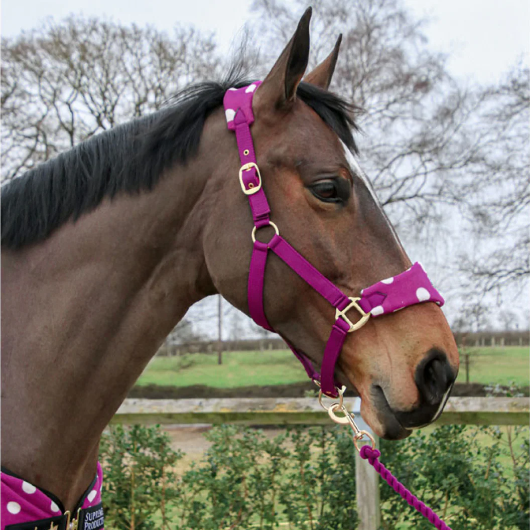 Supreme Products Dotty Fleece Head Collar & Lead Rope - Image 8