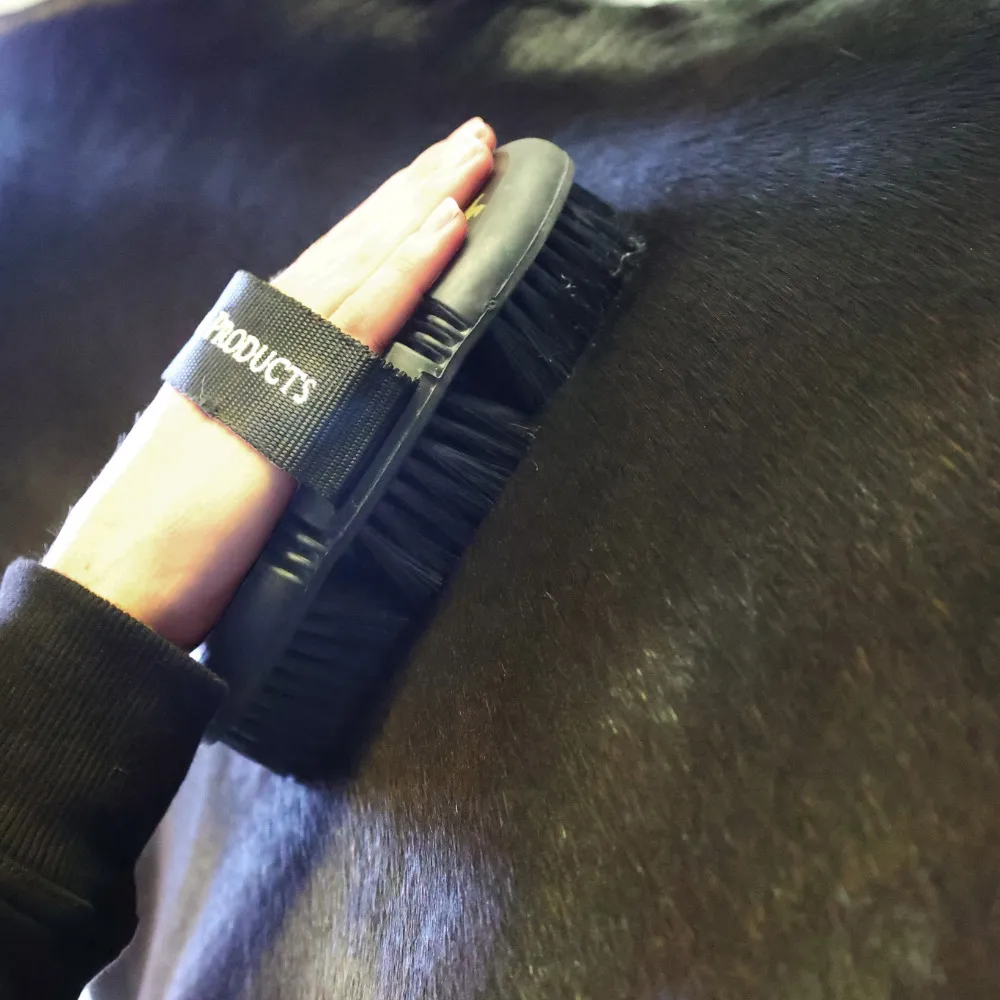 Supreme Products Pro Groom Body Brush - Image 2