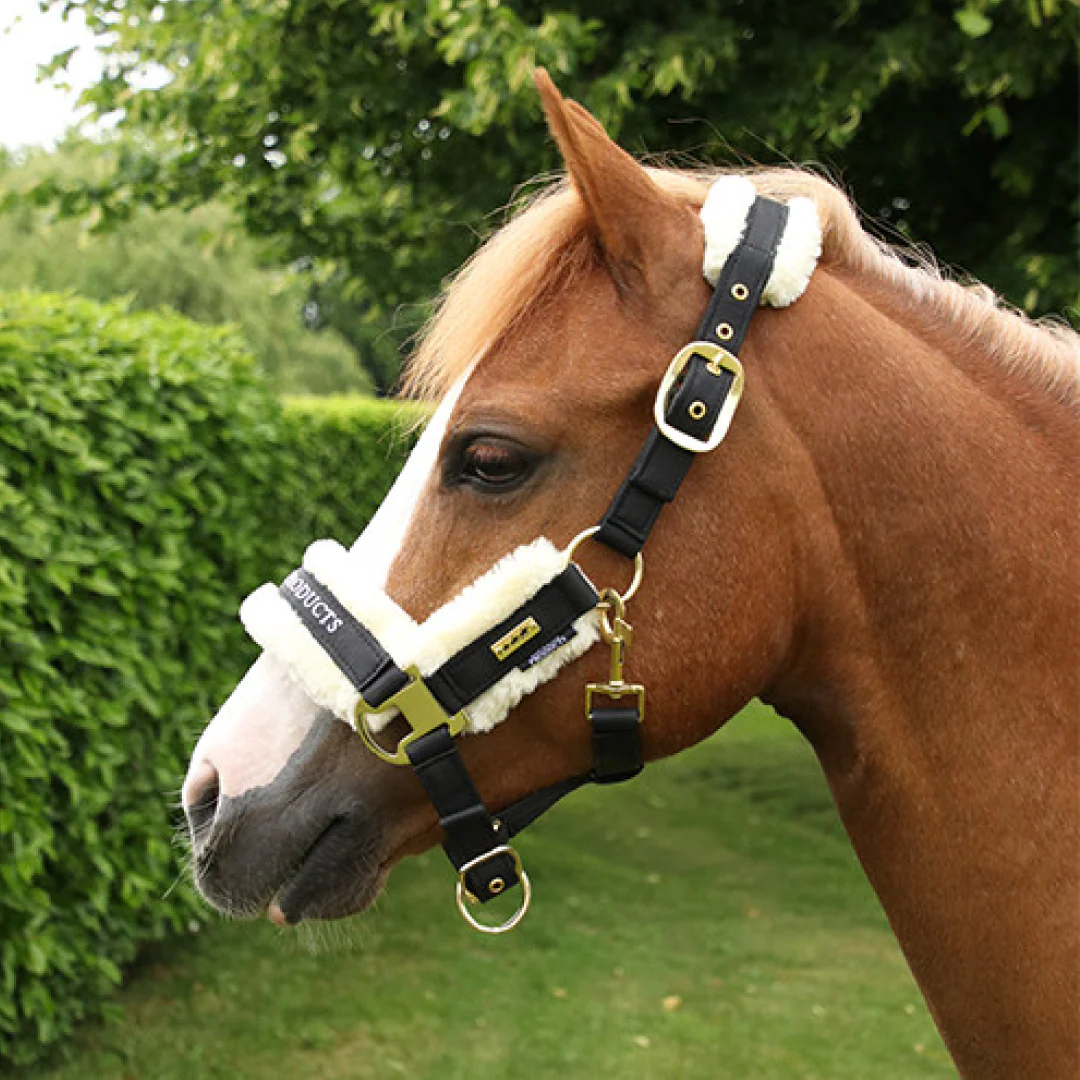 Supreme Products Royal Occasion Head Collar - Image 2