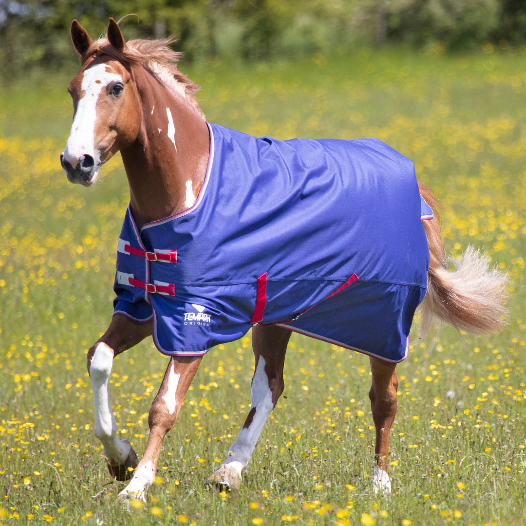 Shires Tempest Original Air Motion Turnout Rug - Image 2