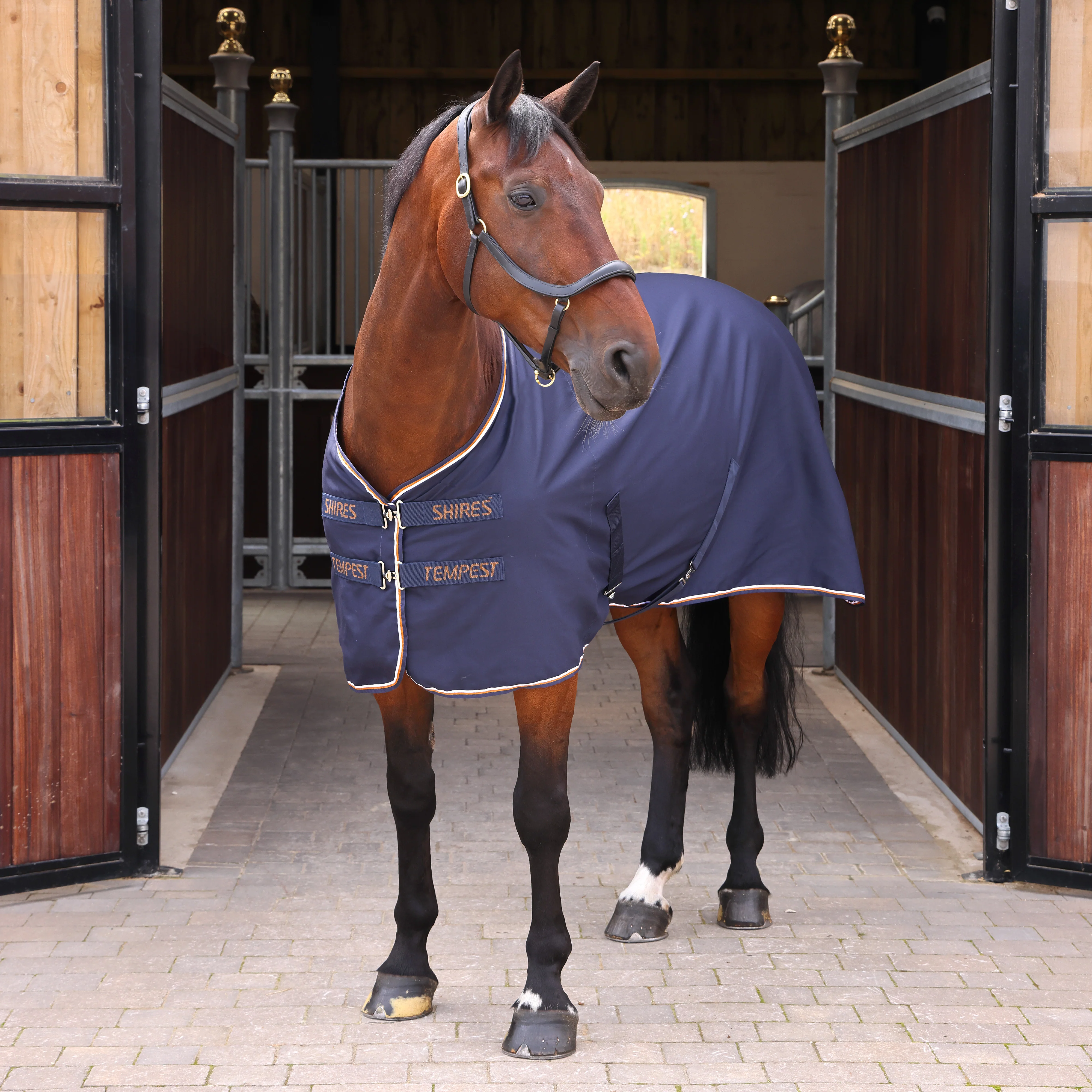 Shires Tempest Original Stable Sheet - Image 8
