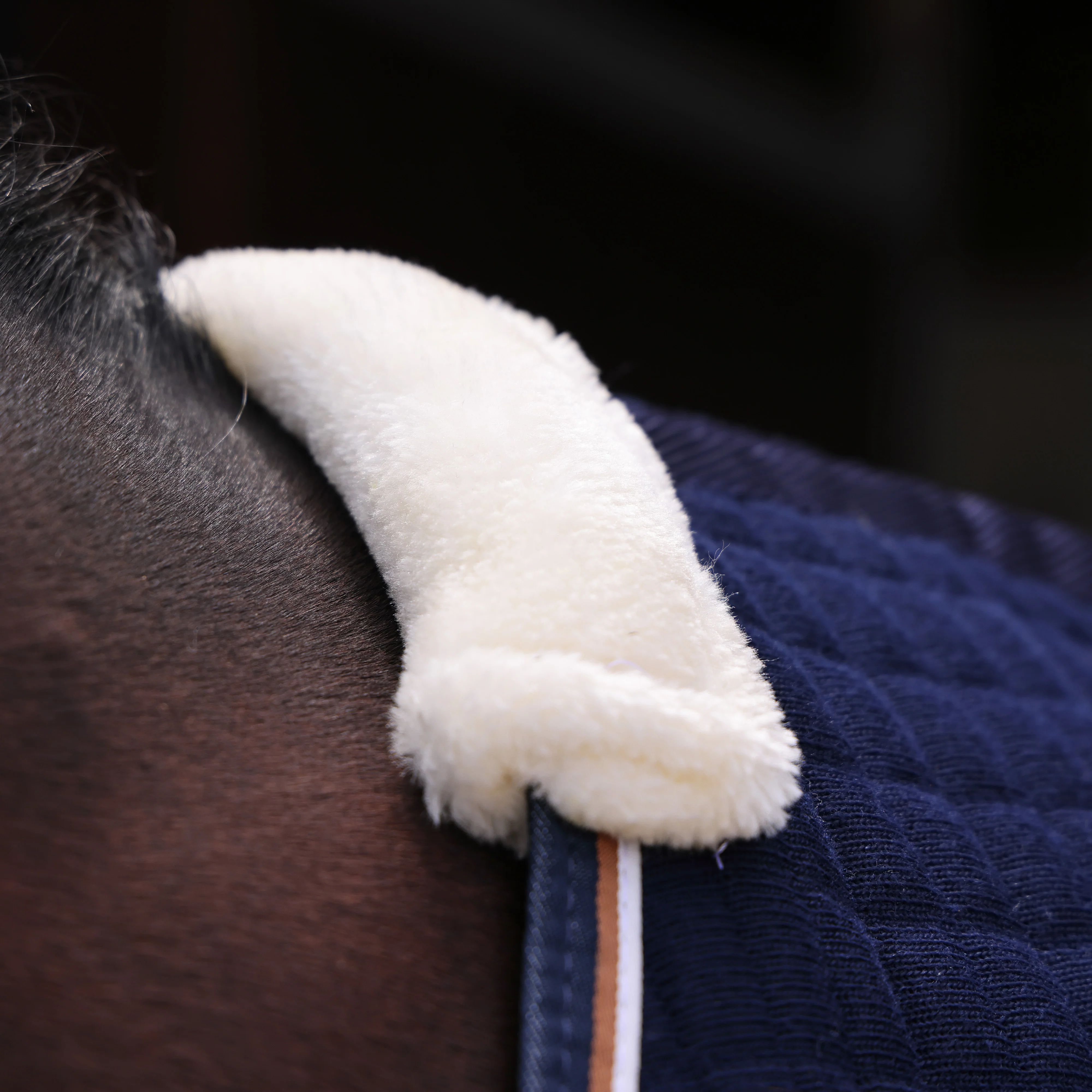 Shires Tempest Original Tech Cooler Rug - Image 2