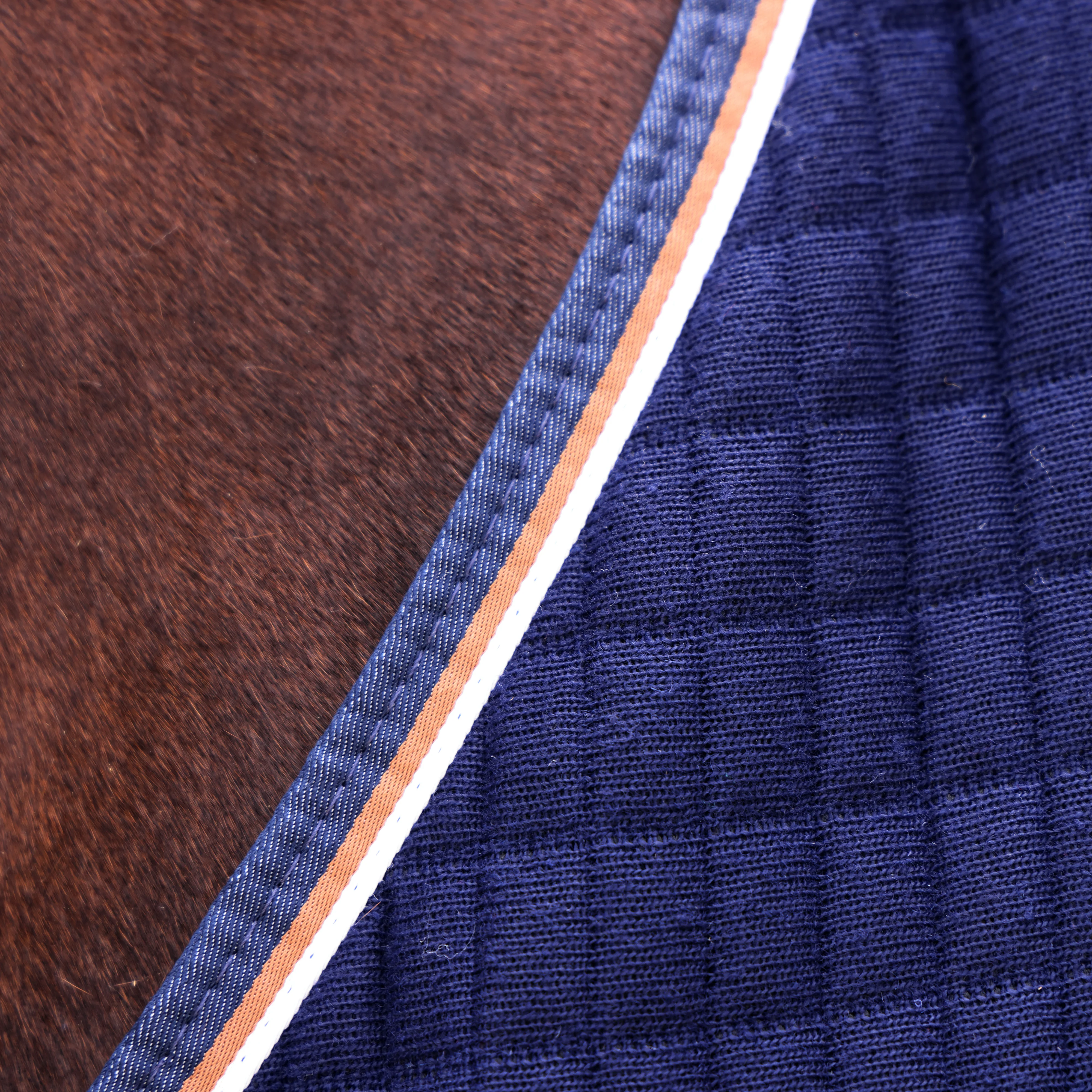 Shires Tempest Original Tech Cooler Rug - Image 5