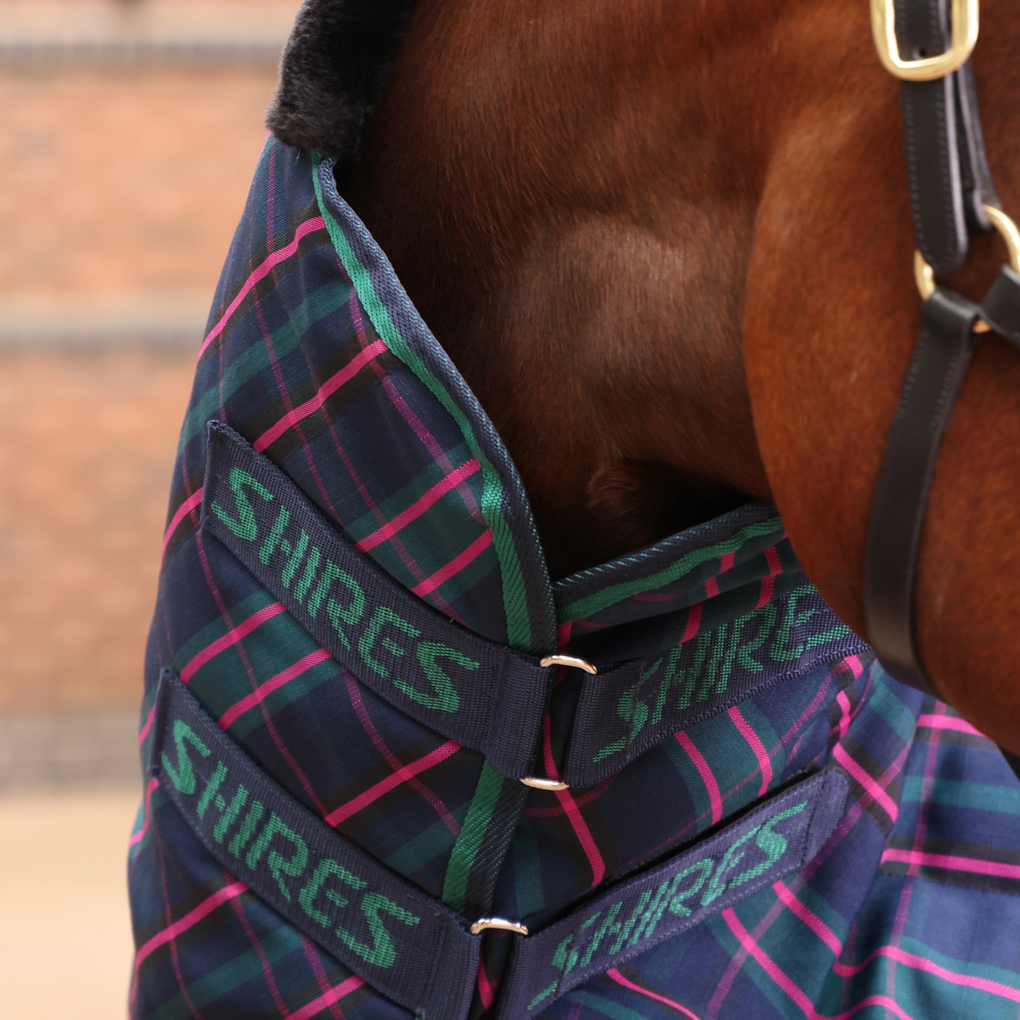 Shires Tempest Plus 100g Stable Combo - Image 6