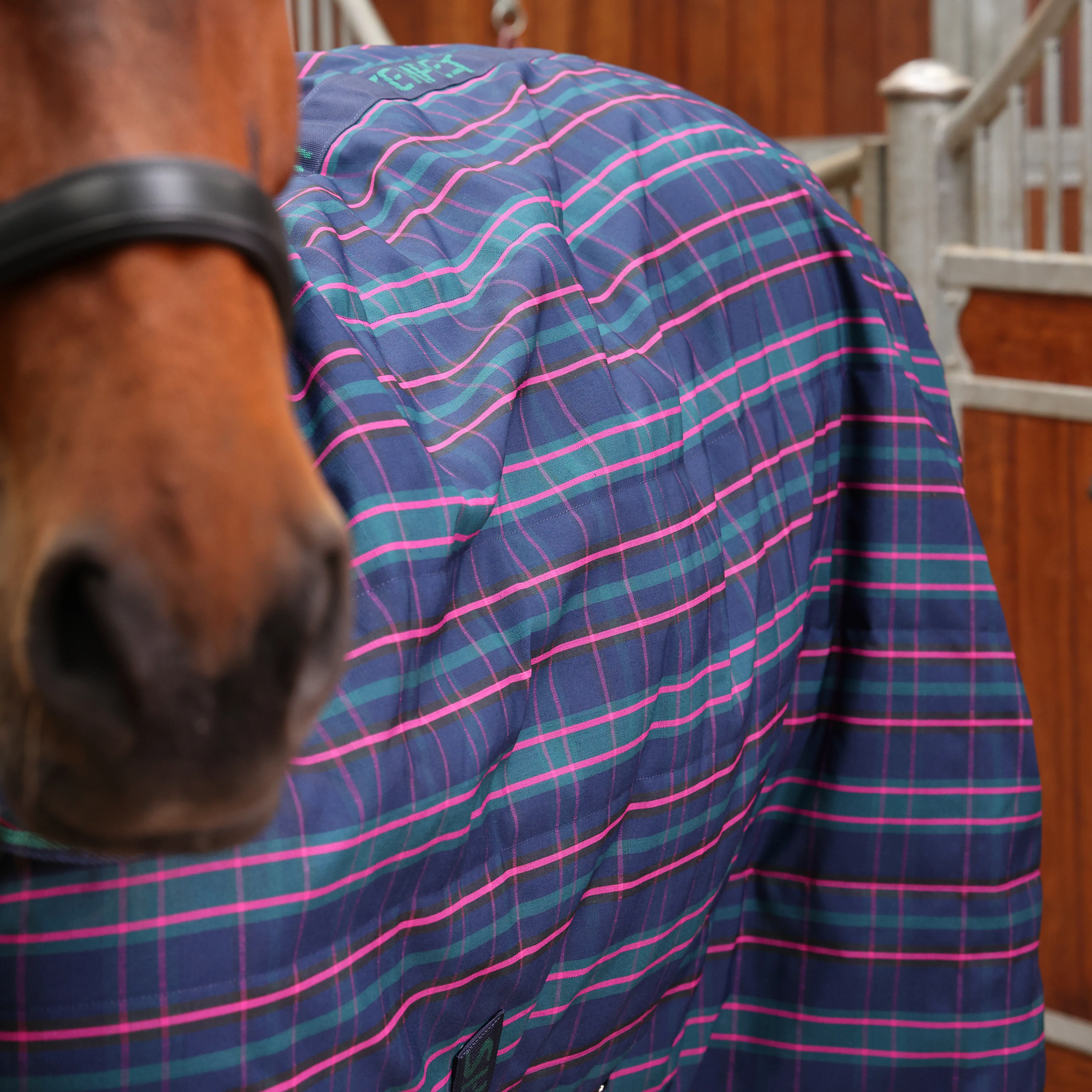 Shires Tempest Plus 100g Stable Combo - Image 8