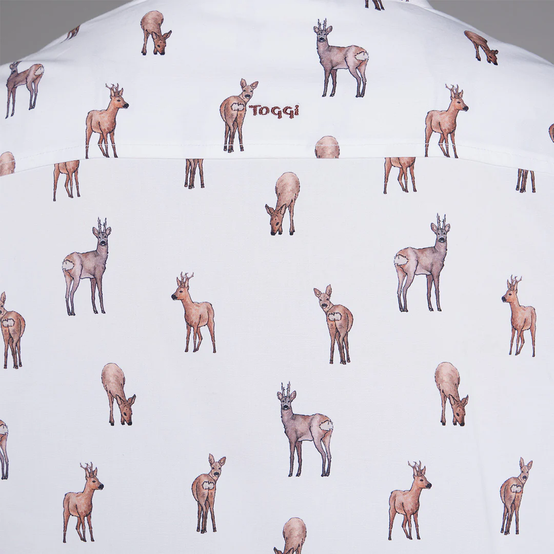 Toggi Whittington Shirt - Image 6