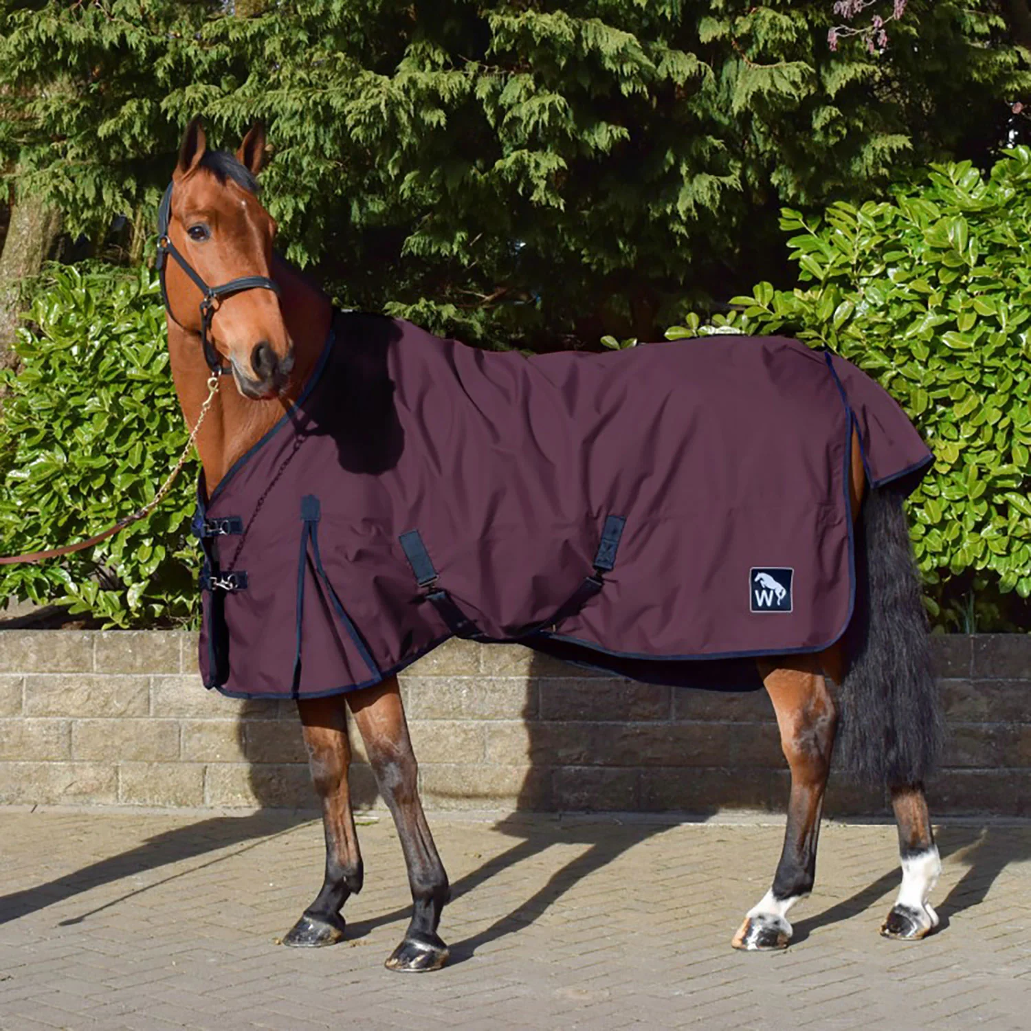 W-Horse 0g Turnout Rug