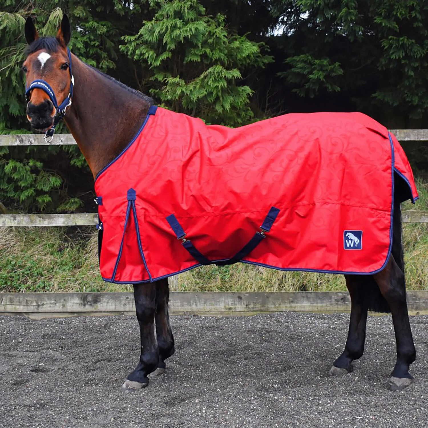 W-Horse 0g Turnout Rug - Image 2
