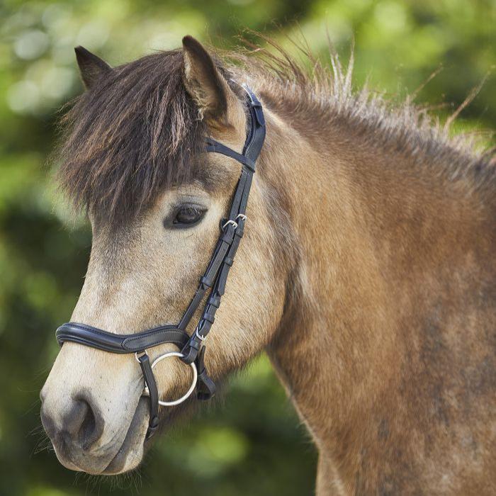Waldhausen Anatomic Icelandic Bridle - Image 3