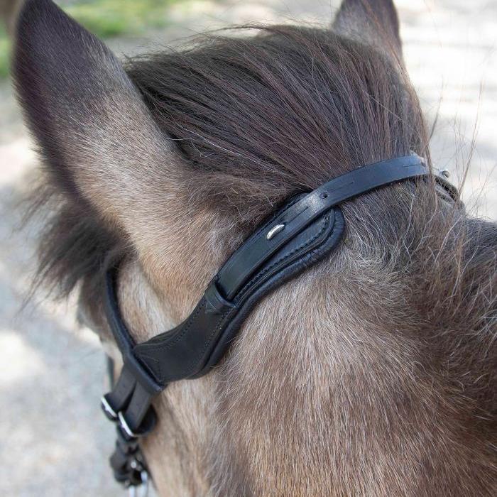 Waldhausen Anatomic Icelandic Bridle - Image 4
