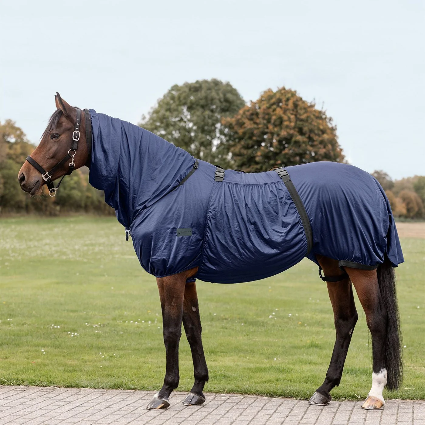 Waldhausen Basic Eczema Rug