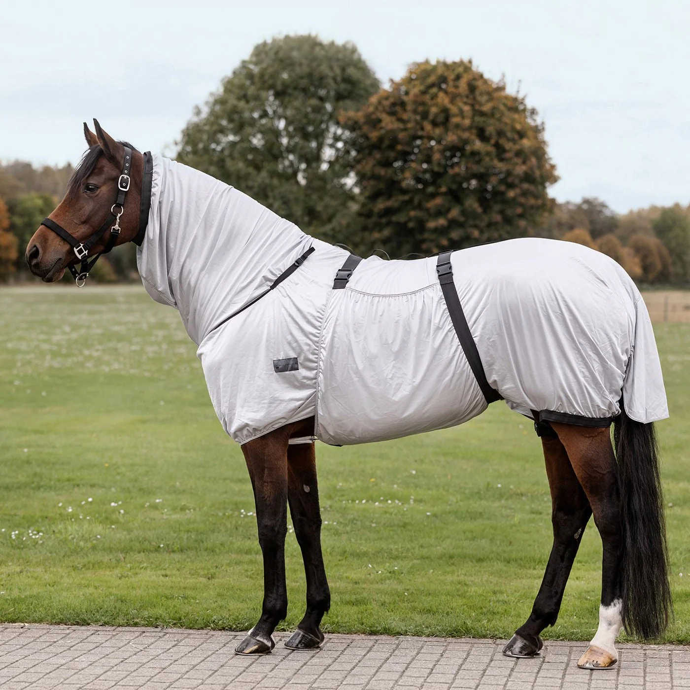 Waldhausen Basic Eczema Rug - Image 2