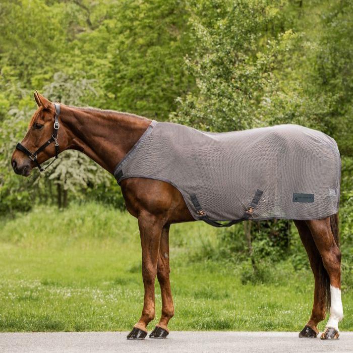 Waldhausen Comfort Fly-Horse Walker Rug - Image 2