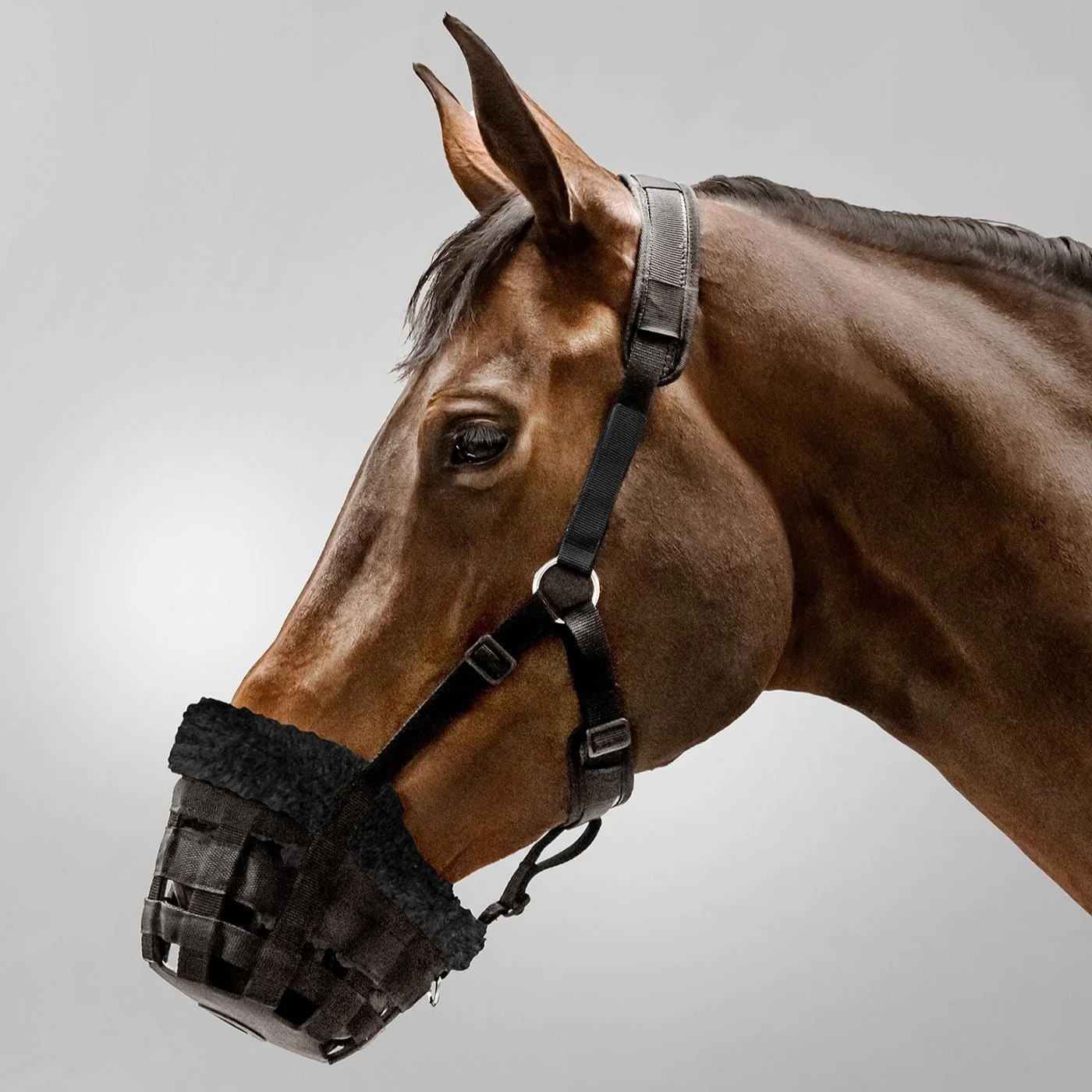 Waldhausen Comfort Muzzle