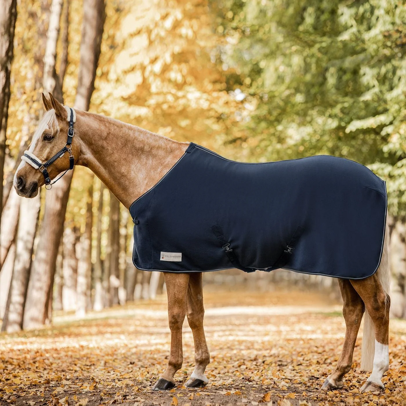 Waldhausen Economic Fleece Rug with Cross Surcingles