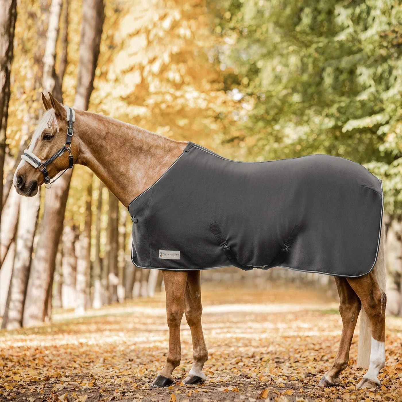 Waldhausen Economic Fleece Rug with Cross Surcingles - Image 2