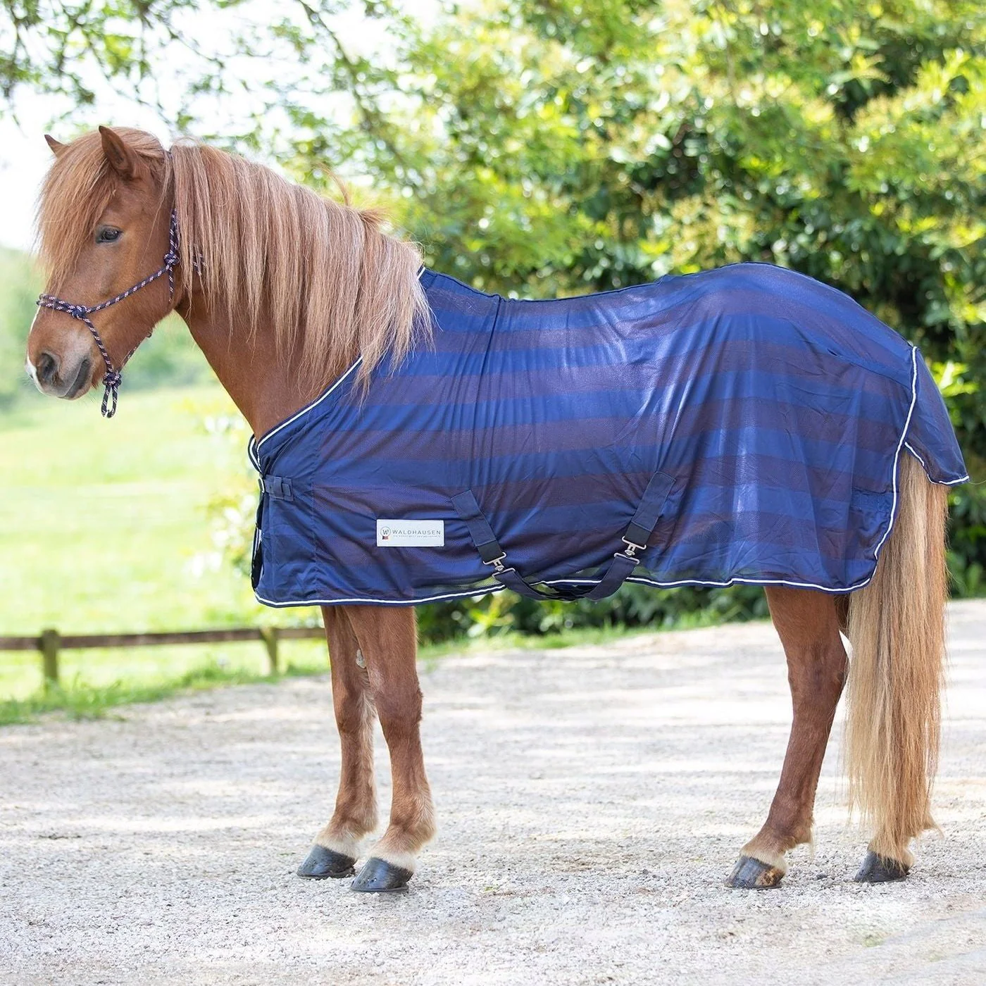 Waldhausen Economic Fly Rug - Image 2