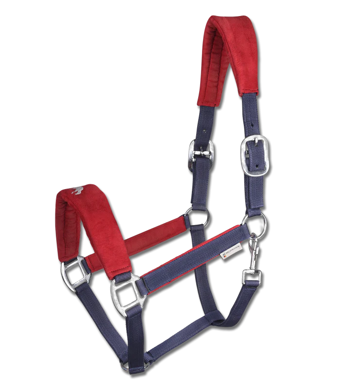 Waldhausen Hellnar Icelandic Halter