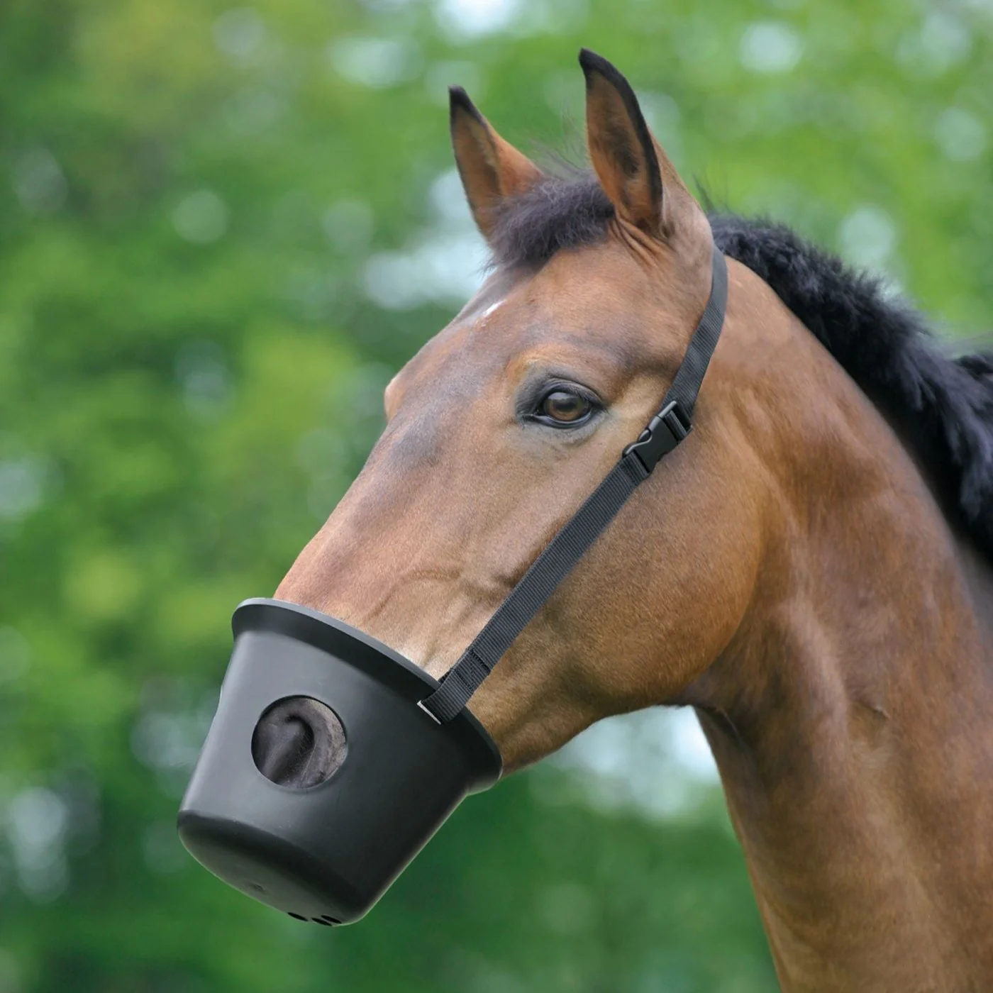 Waldhausen Plastic Muzzle