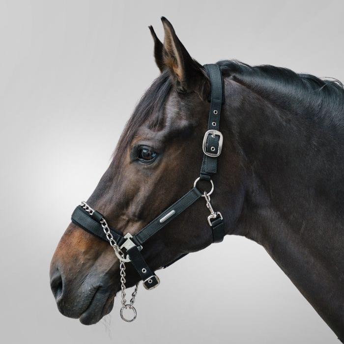 Waldhausen Pro Safety Halter - Image 2