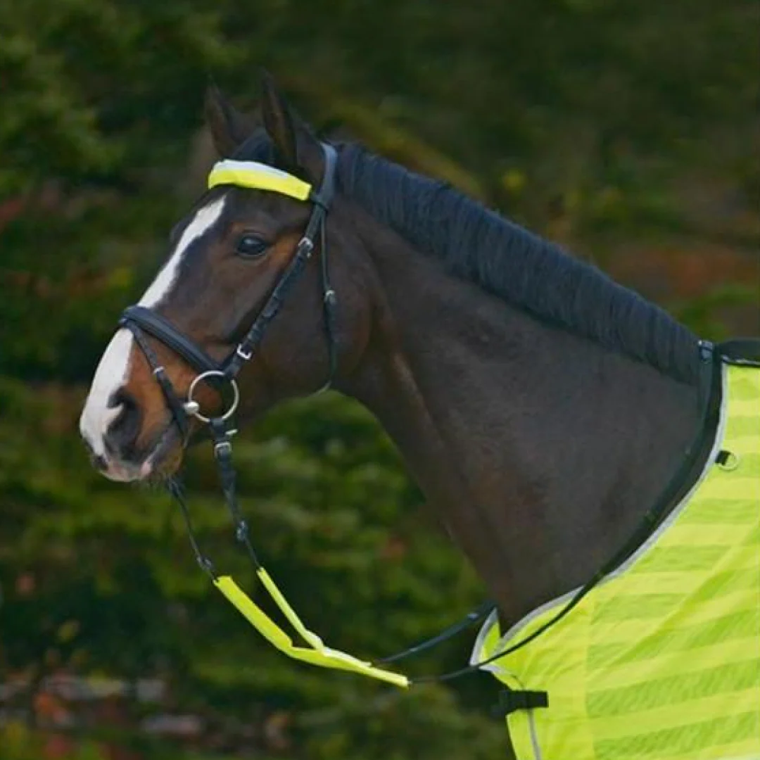 Waldhausen Reflex Bridle Set
