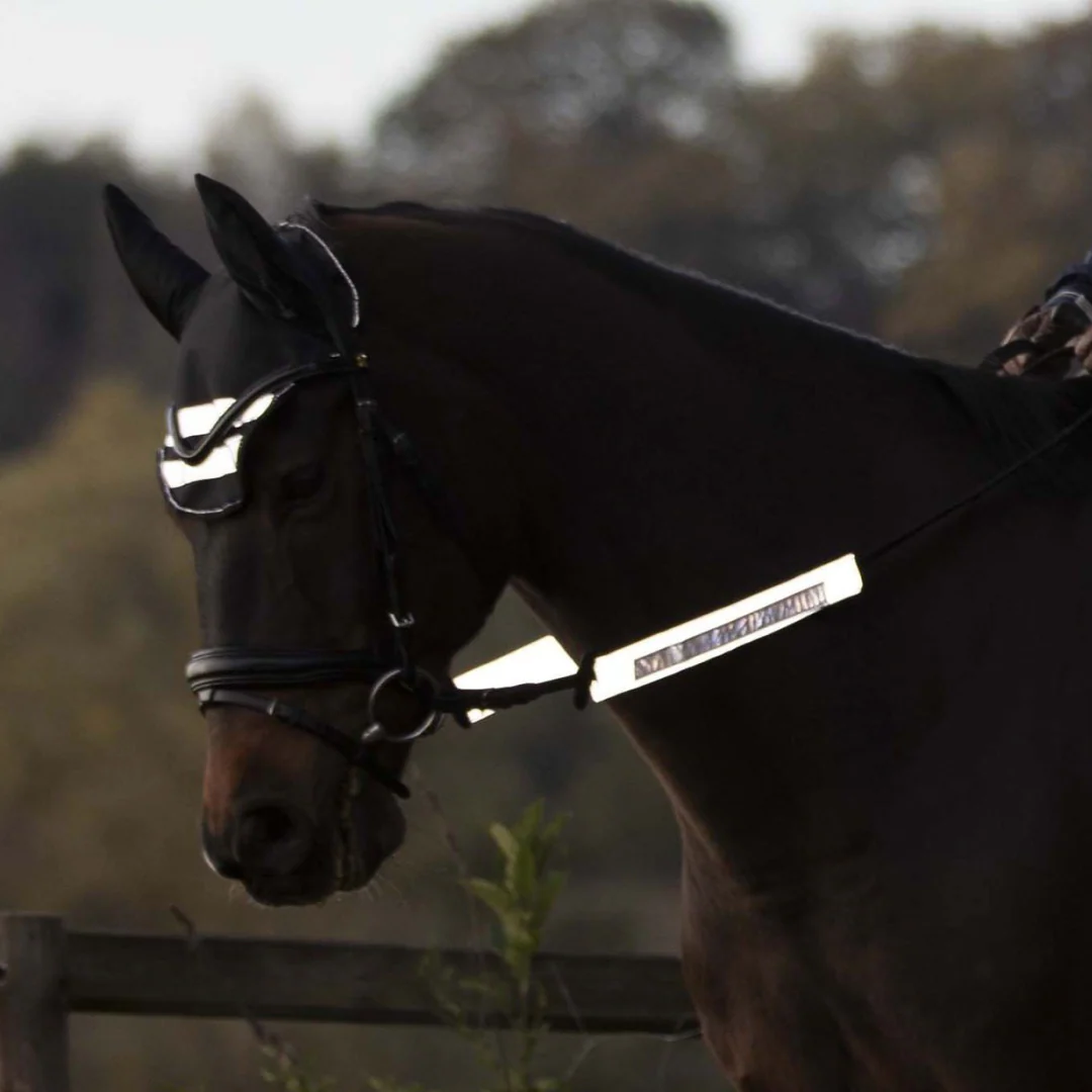 Waldhausen Reflex Bridle Set - Image 4