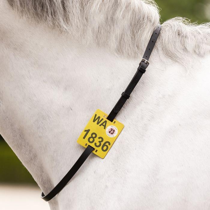 Waldhausen Riding Strap for Riding Badge - Image 2