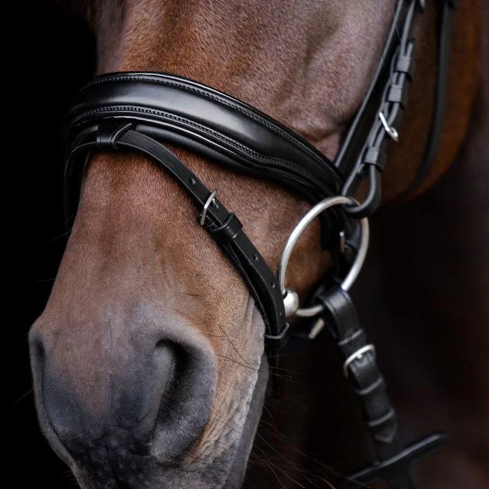 Waldhausen S-Line Patent Blackshine Bridle - Image 6