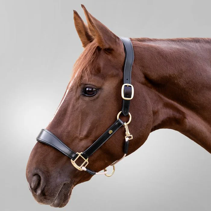 Waldhausen S-Line Royal Leather Halter - Image 2