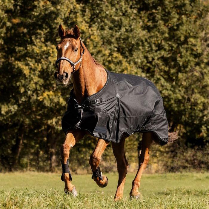 Waldhausen Scandic 100g Turnout Rug - Image 2