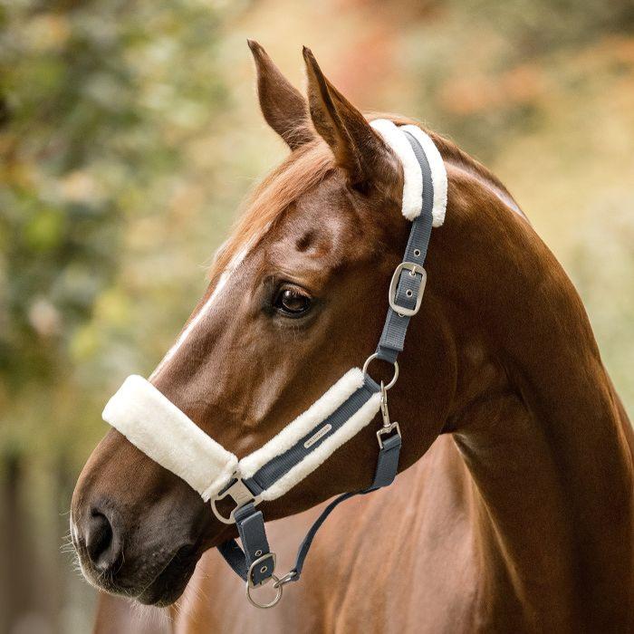 Waldhausen Soft Halter - Image 4