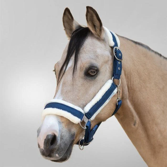 Waldhausen Sparkle Halter - Image 3