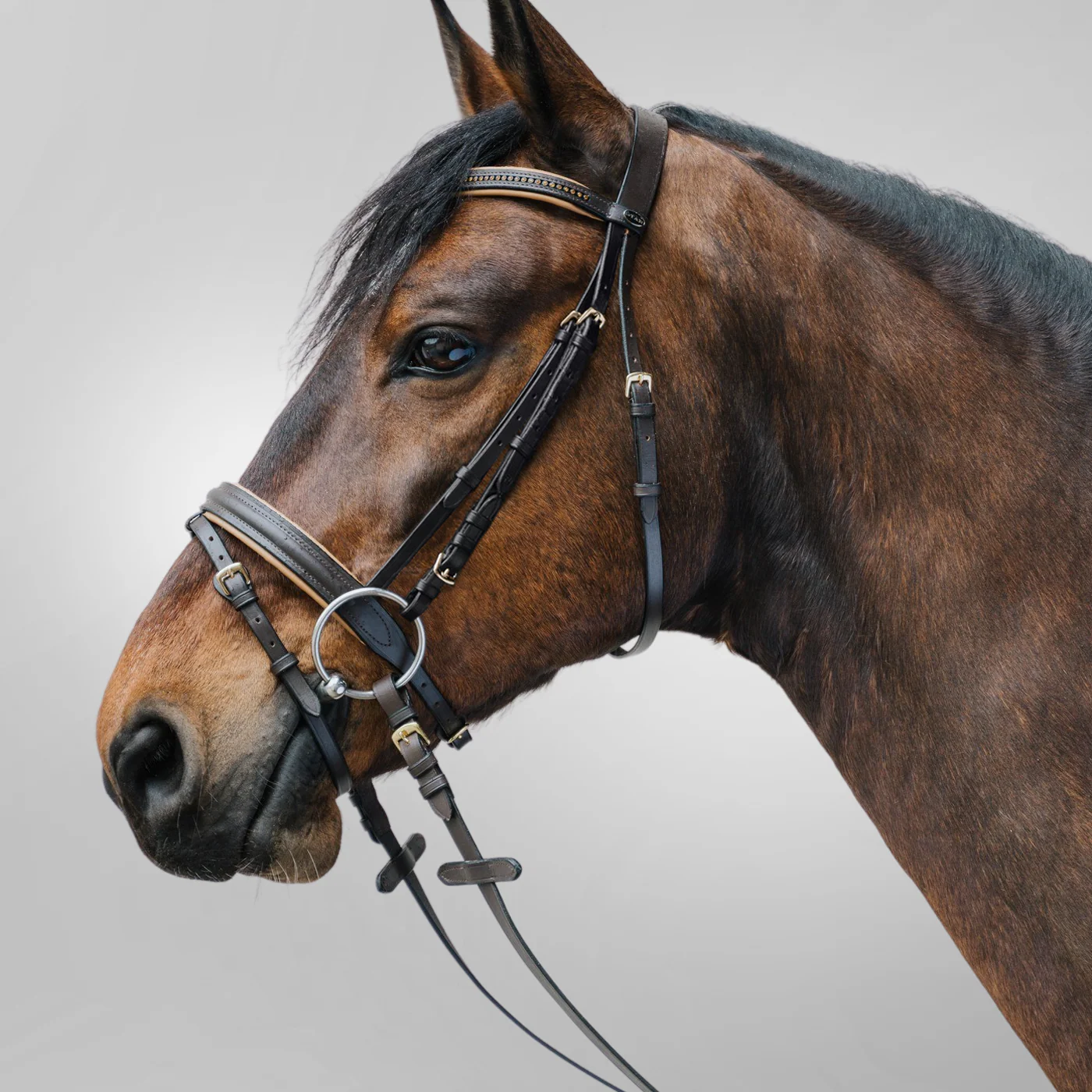 Waldhausen Star Diamond Bridle - Image 6