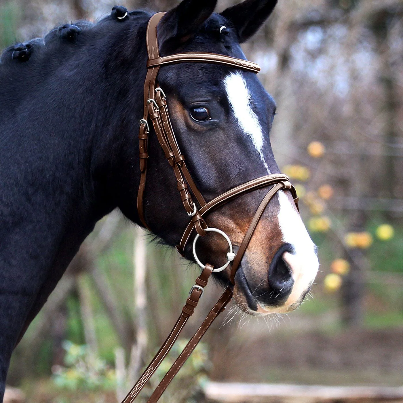 Waldhausen X-Line Bridle Santander - Image 3