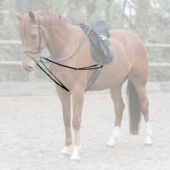 Waldhausen X-Line Leather Lunge-Draw-Reins - Image 2