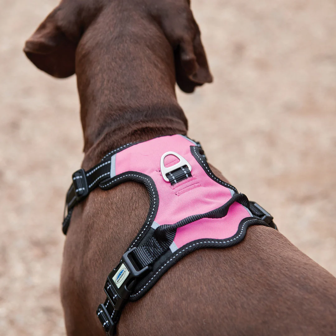Weatherbeeta Anti Pull/Travel Harness - Image 2