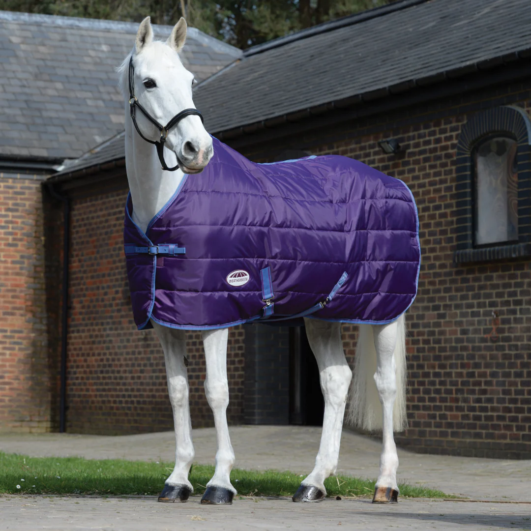 Weatherbeeta Comfitec 210D Channel Quilt Standard Neck Medium Lite - Image 10