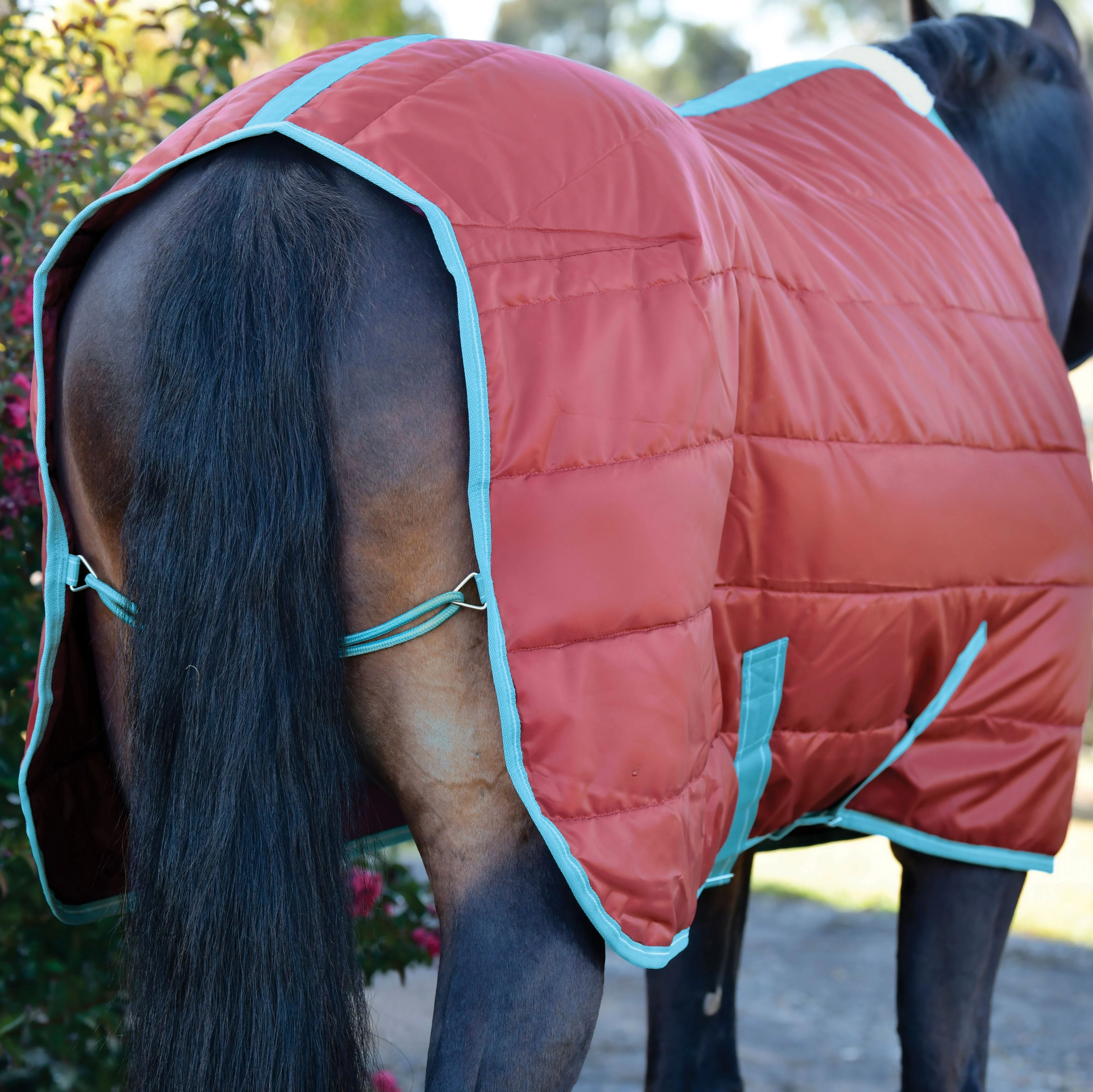 Weatherbeeta Comfitec 210D Channel Quilt Standard Neck Medium Lite - Image 5