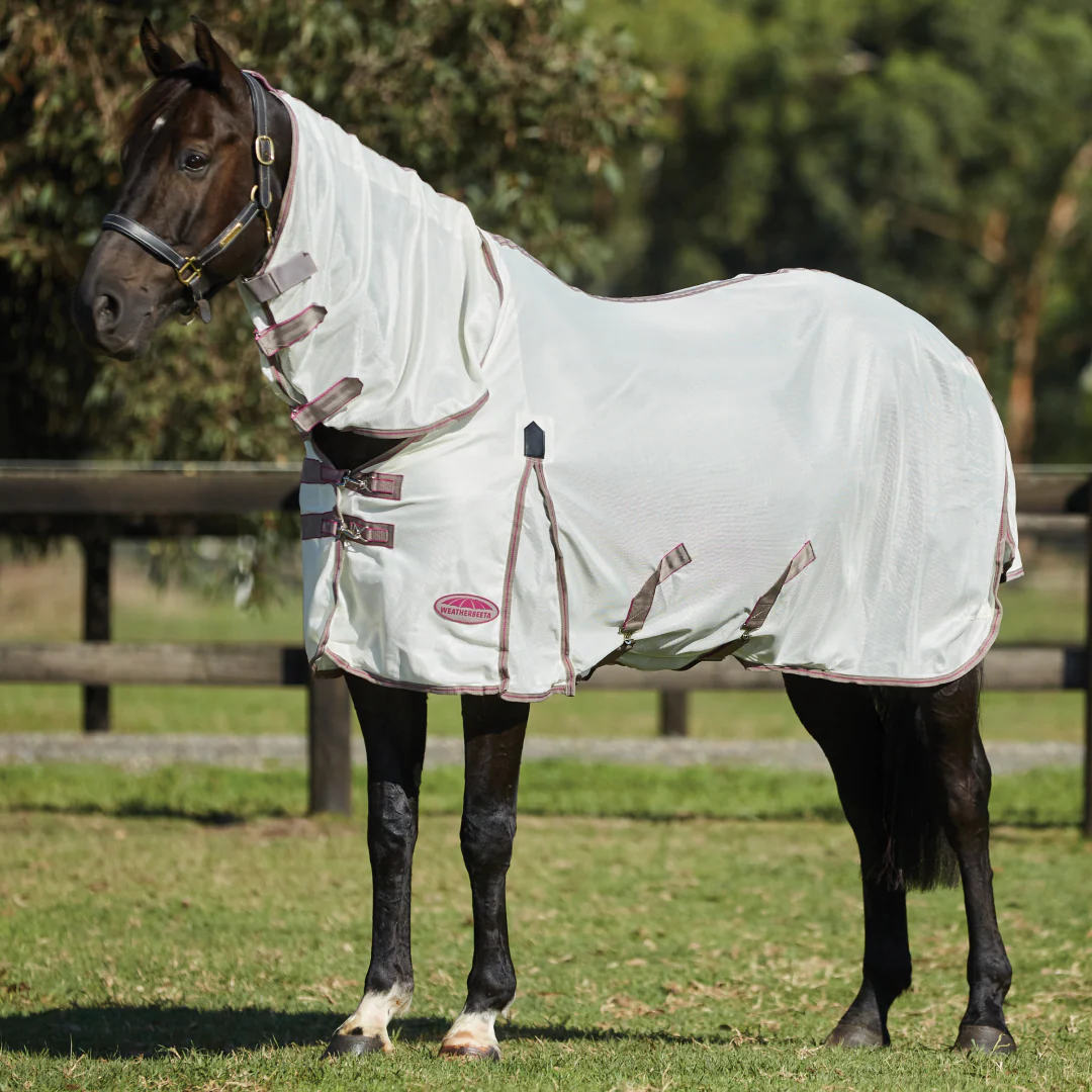 Weatherbeeta Comfitec Airflow II Combo Neck Rug - Image 2