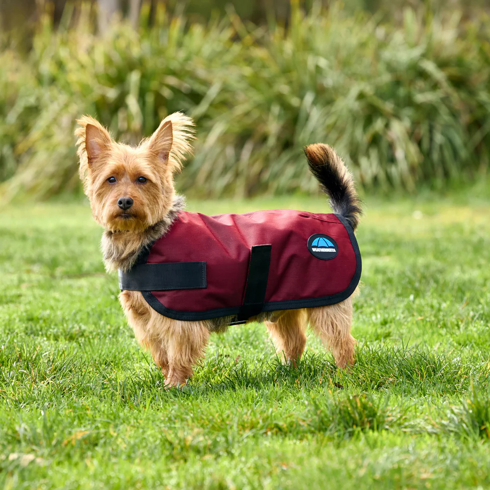 Weatherbeeta Comfitec Classic Waterproof Dog Coat