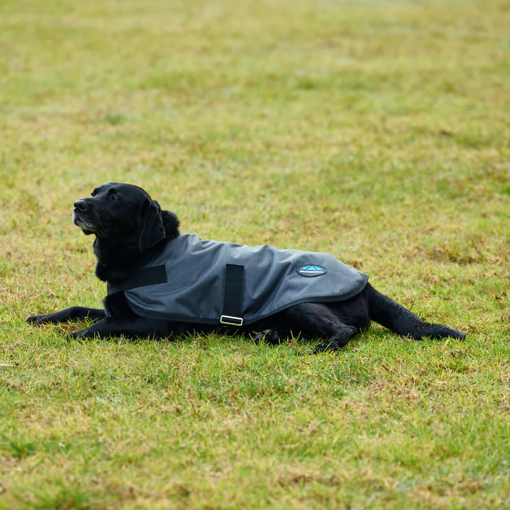 Weatherbeeta Comfitec Classic Waterproof Dog Coat - Image 10