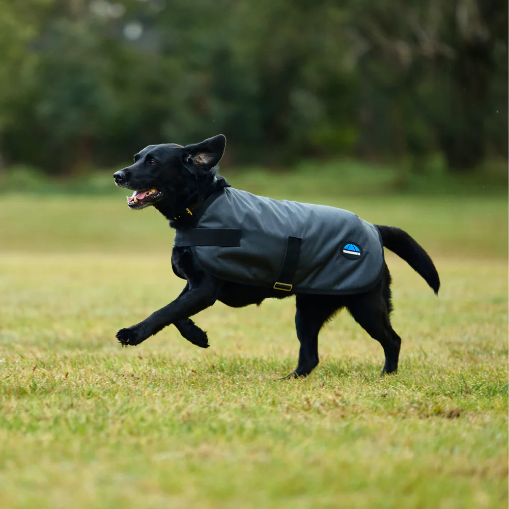 Weatherbeeta Comfitec Classic Waterproof Dog Coat - Image 11