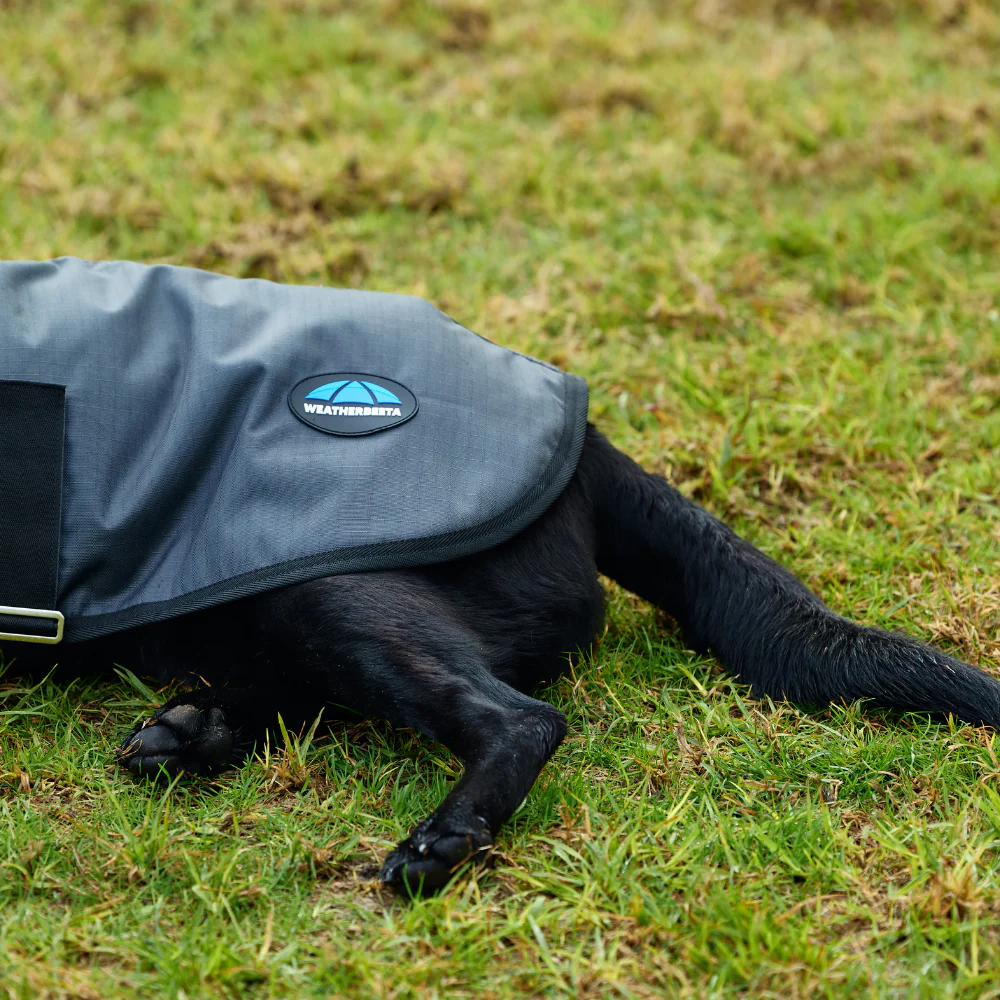 Weatherbeeta Comfitec Classic Waterproof Dog Coat - Image 9