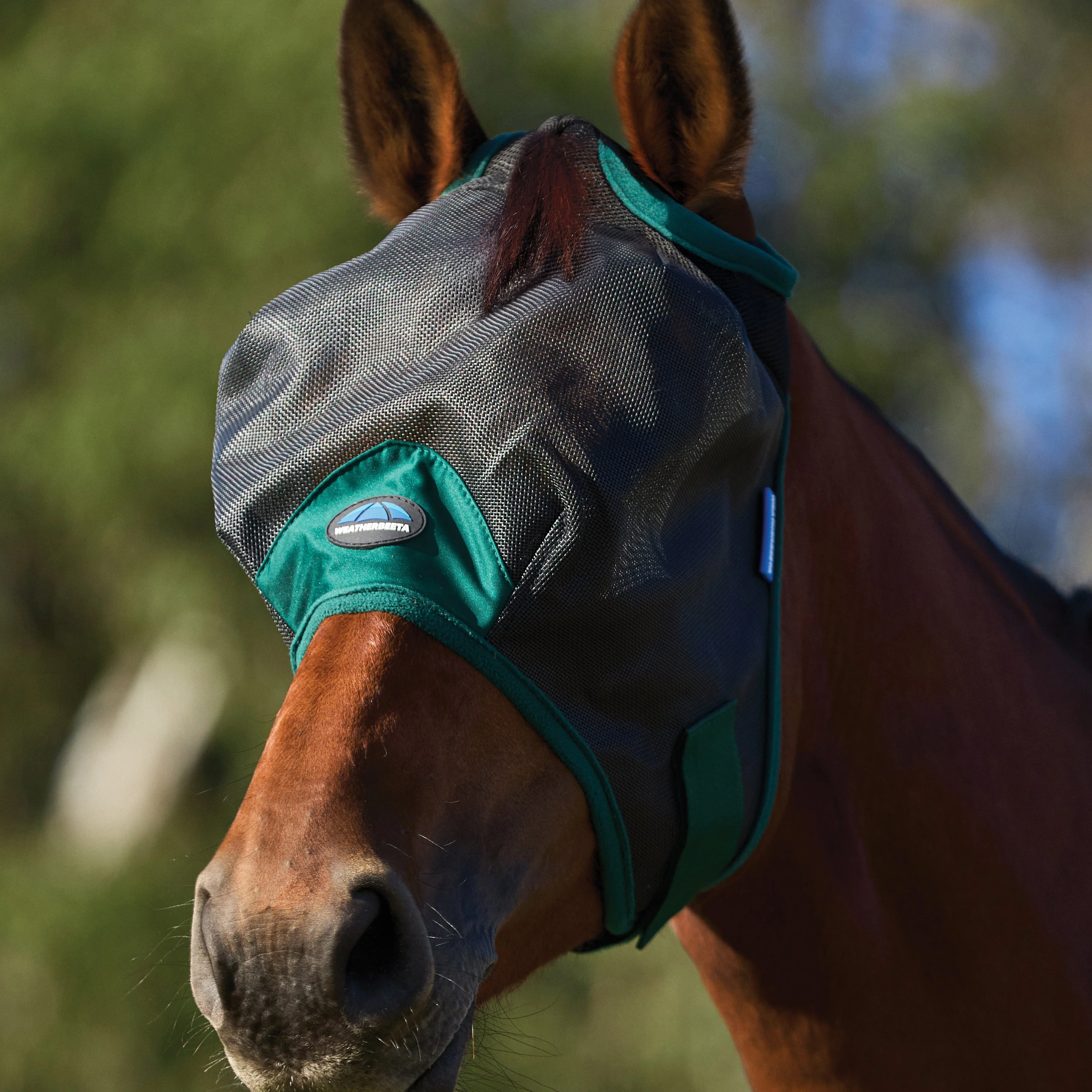 Weatherbeeta Comfitec Durable Mesh Fly Mask