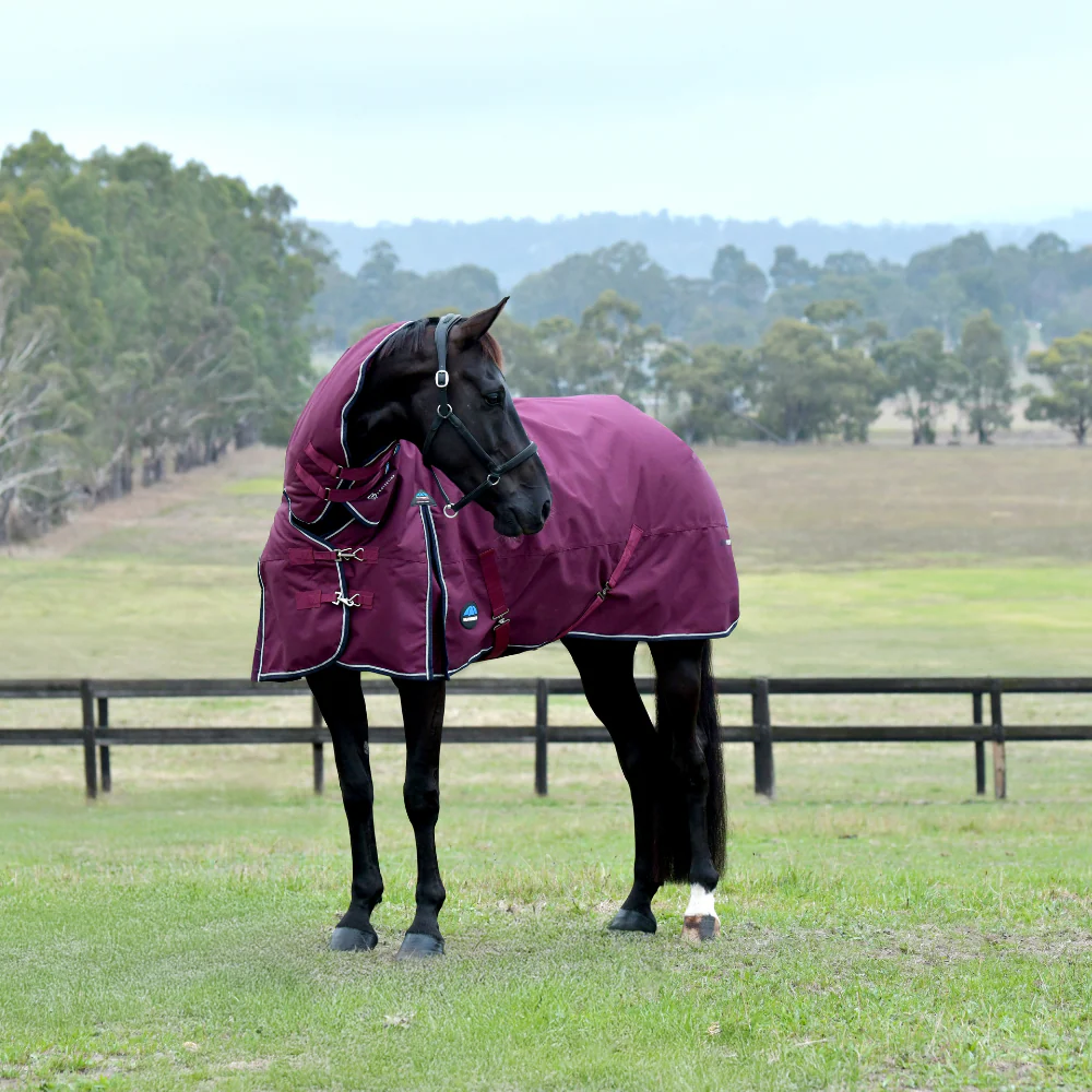 Weatherbeeta Comfitec Essential 220G Combo Turnout - Image 2