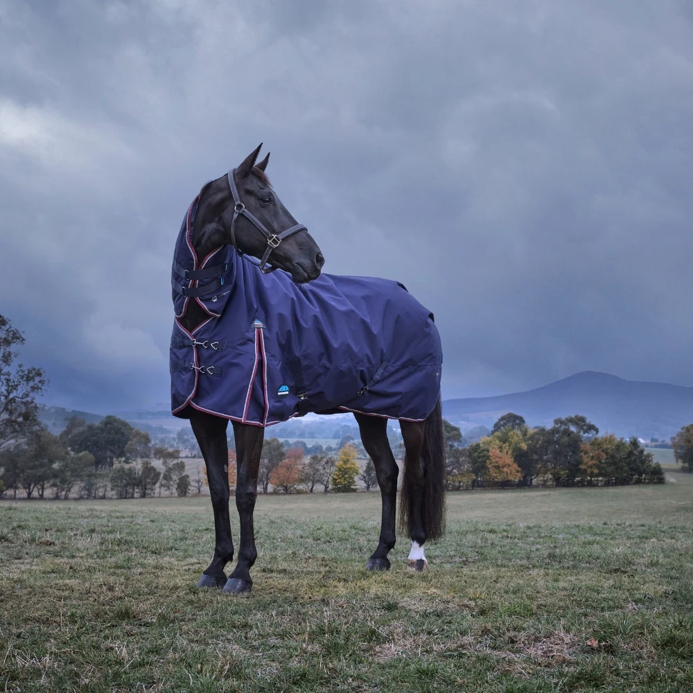 Weatherbeeta Comfitec Essential 220G Combo Turnout - Image 26