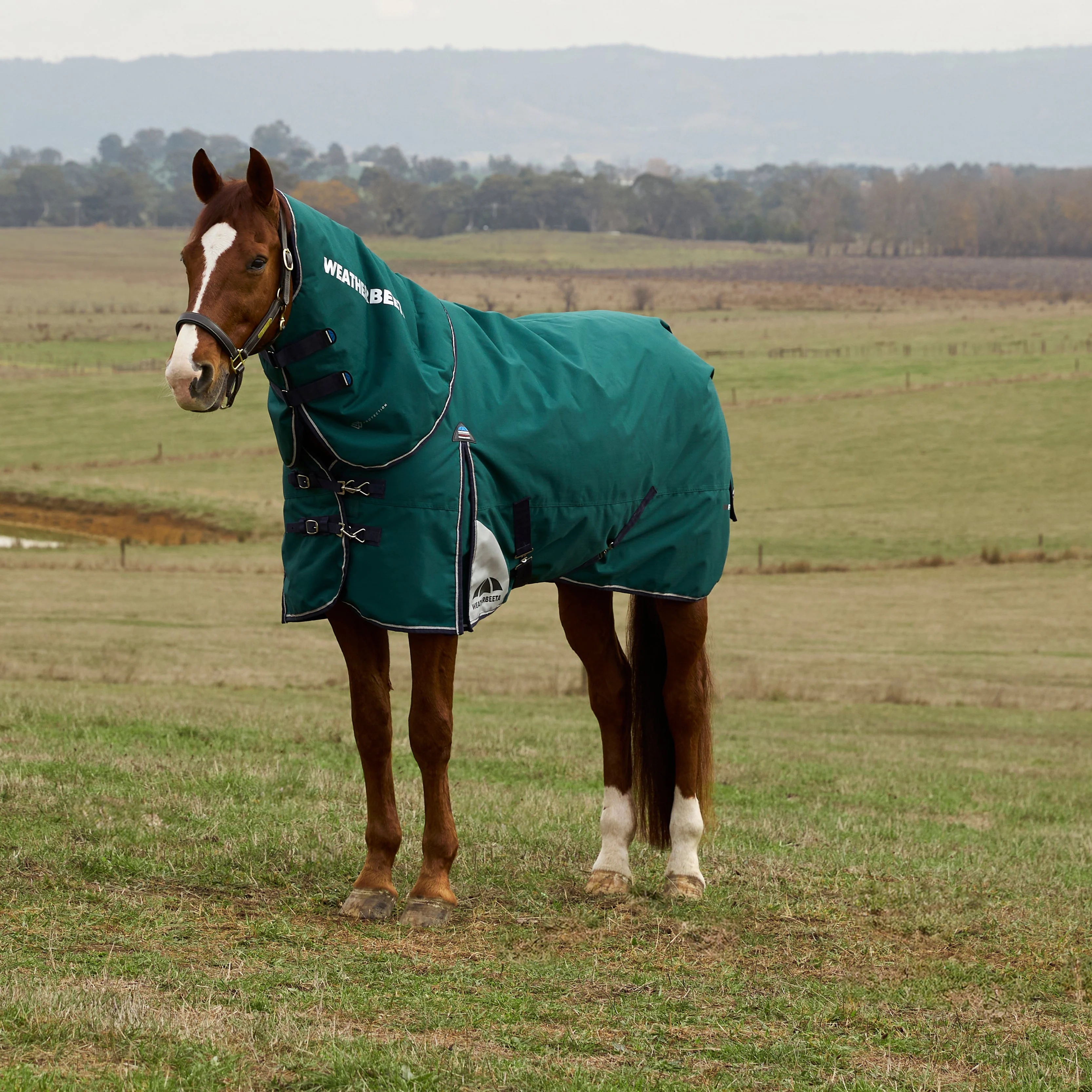 Weatherbeeta Comfitec Plus Dynamic 0G Detach-A-Neck Turnout