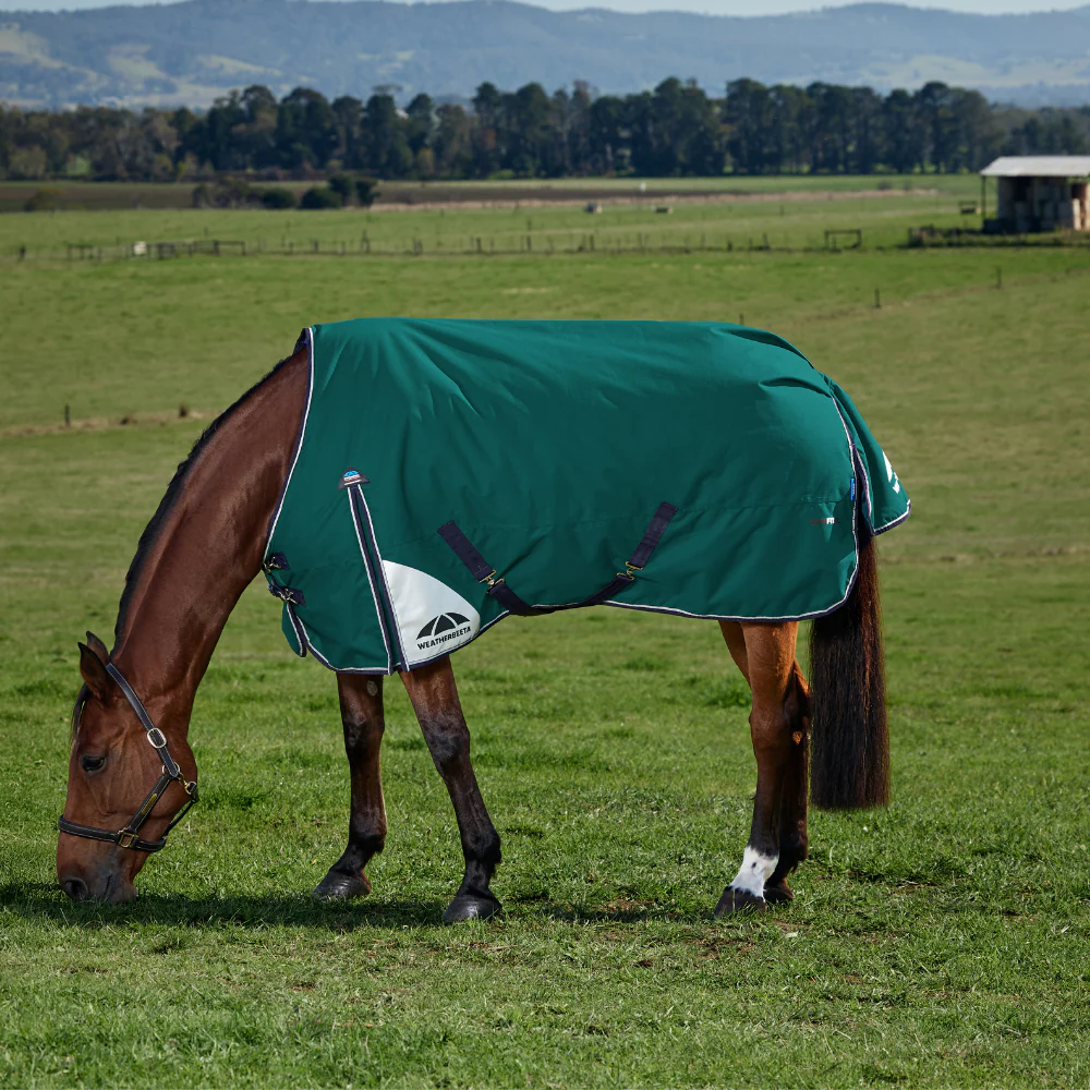 Weatherbeeta Comfitec Plus Dynamic 220G Turnout - Image 2