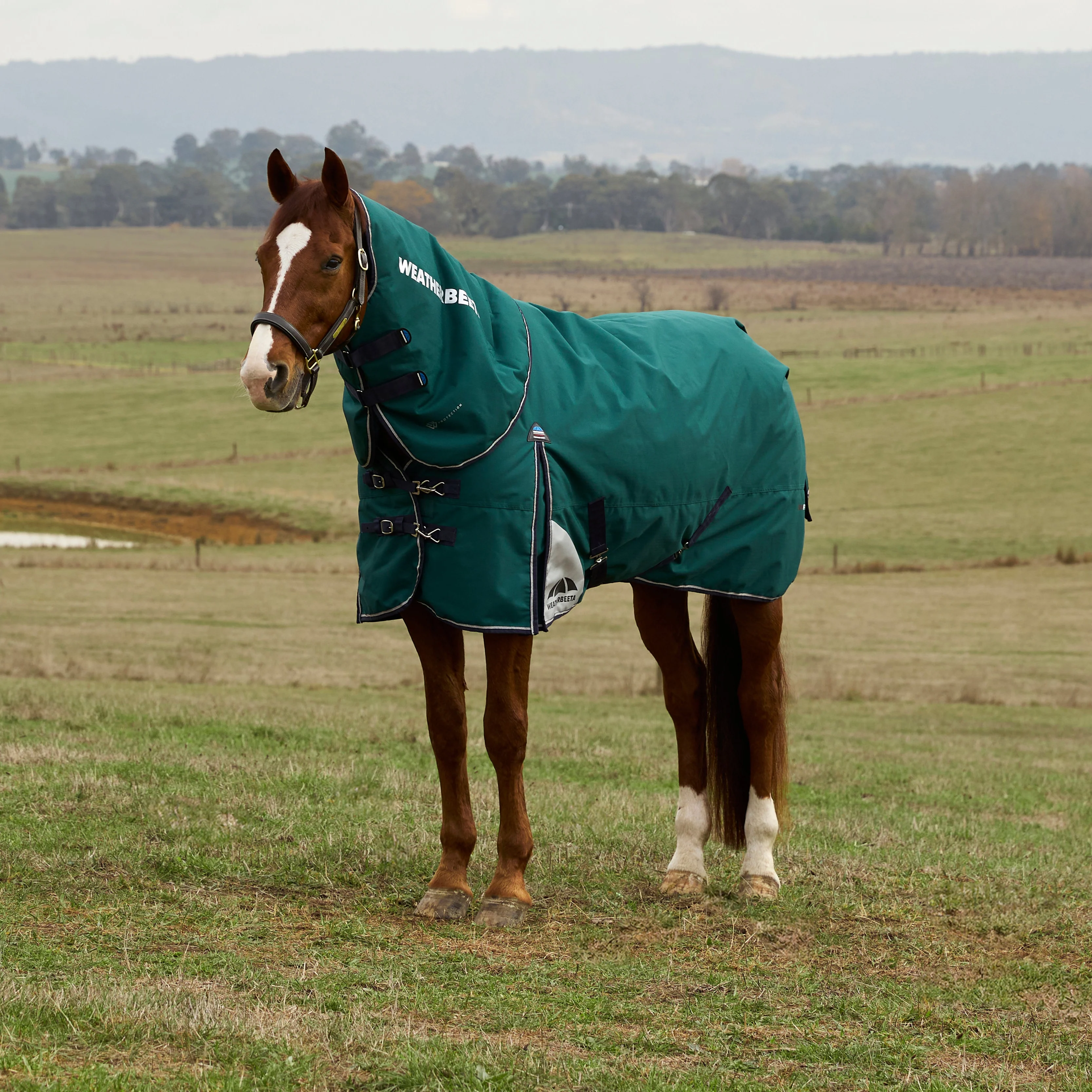Weatherbeeta Comfitec Plus Dynamic 100G Detach-A-Neck Turnout
